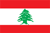 باللغة العربية